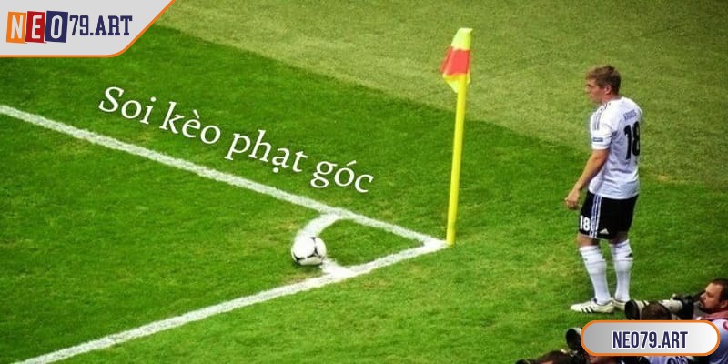 Mọi người cần phải chọn thời điểm hợp lý để tối ưu